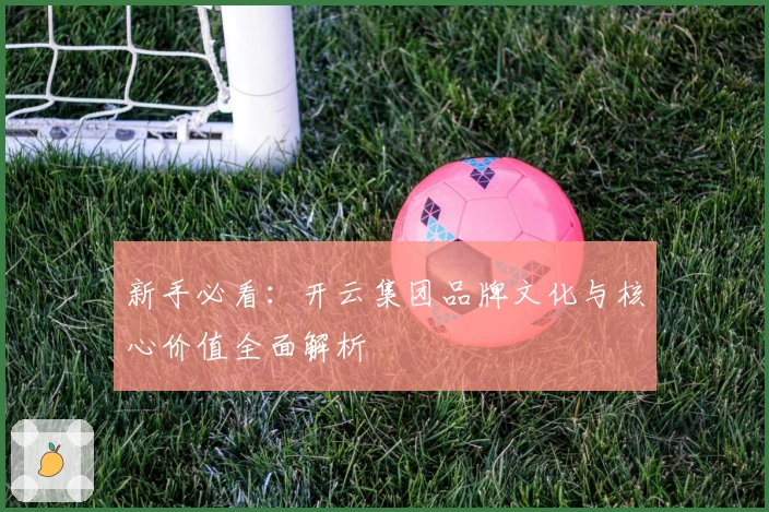 新手必看：开云集团品牌文化与核心价值全面解析