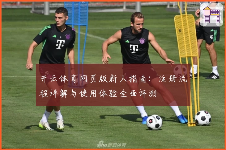 开云体育网页版新人指南：注册流程详解与使用体验全面评测