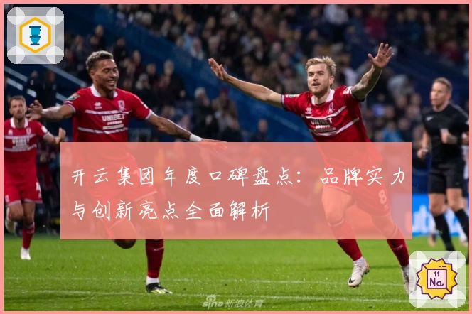 开云集团年度口碑盘点：品牌实力与创新亮点全面解析